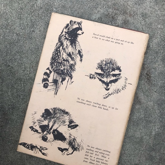 Rascal book 1963 - Picture 4 of 4